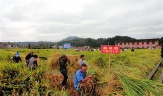 隆回是哪个省哪个城市